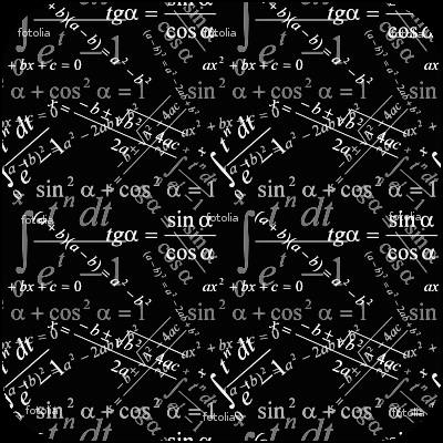 ЛучНик.  математические модели неизбежно идеализируют реальность, учитывая или не учитывая некоторые её известные свойства, не говоря уже о тех, о которых в данный момент у науки нет представления.