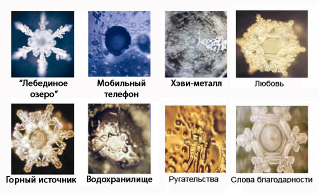 kreshenskaya voda_emoto masaru_luchnik